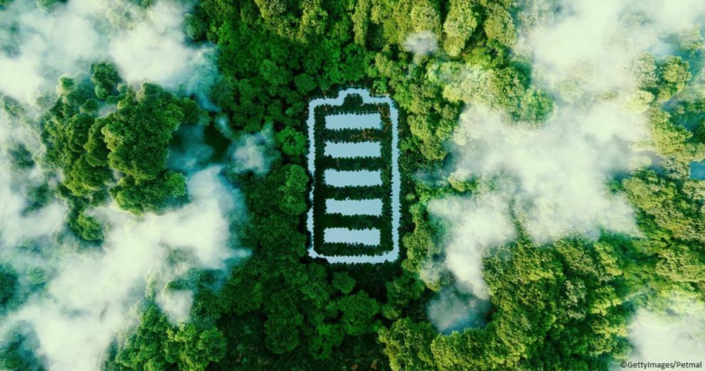 Image of battery seen from above, created out of trees in a thick forest.