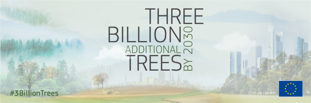 Rooting for #3BillionTrees conference