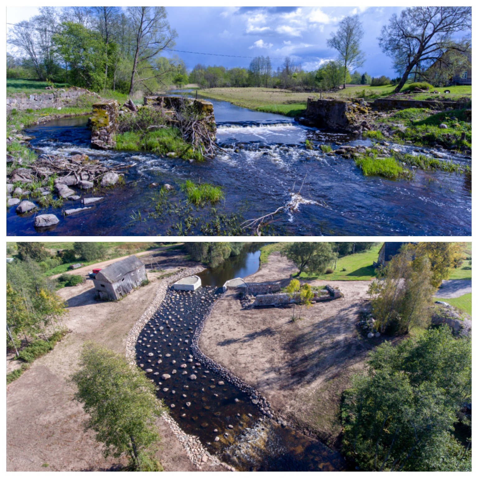 Improving the Pärnu river basin for its migratory fish - Photo 1