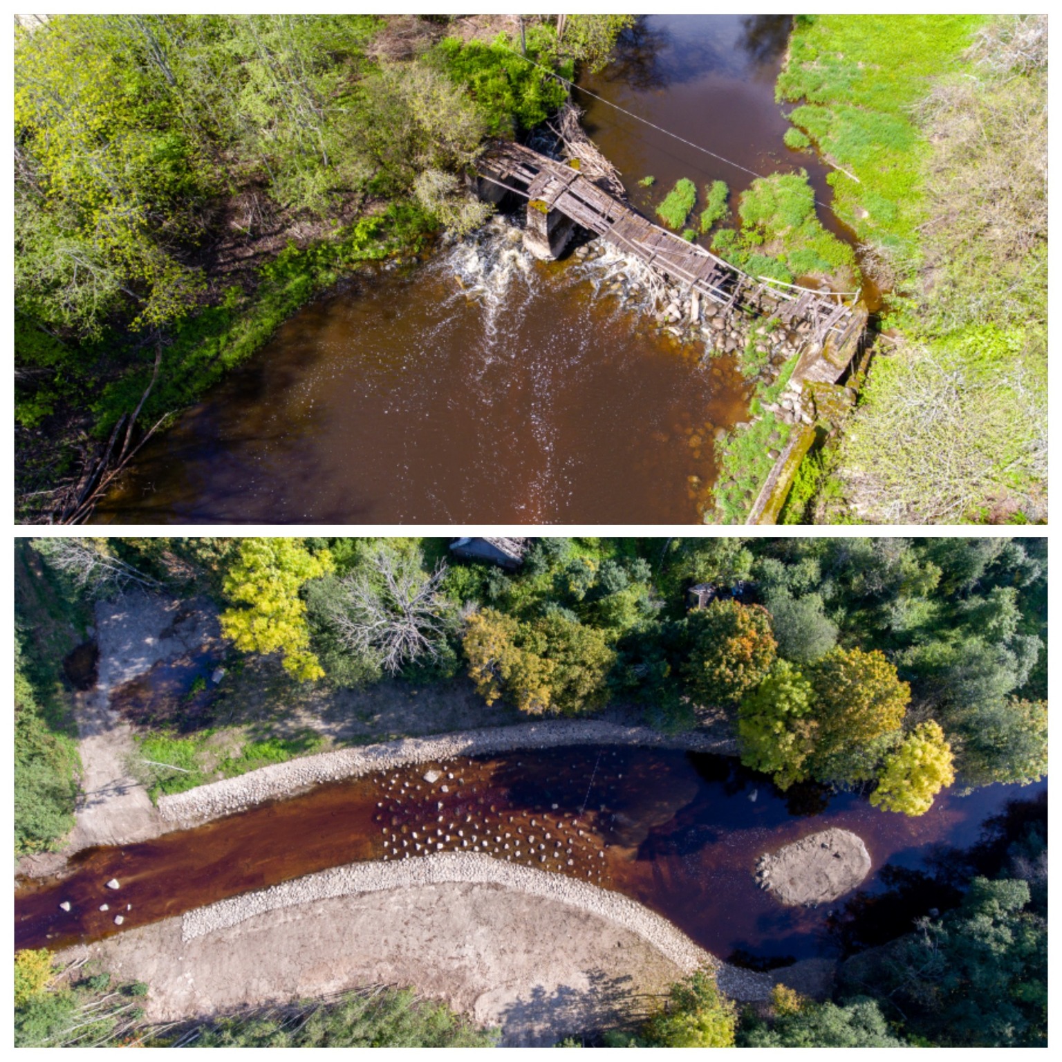 Improving the Pärnu river basin for its migratory fish - Photo 2