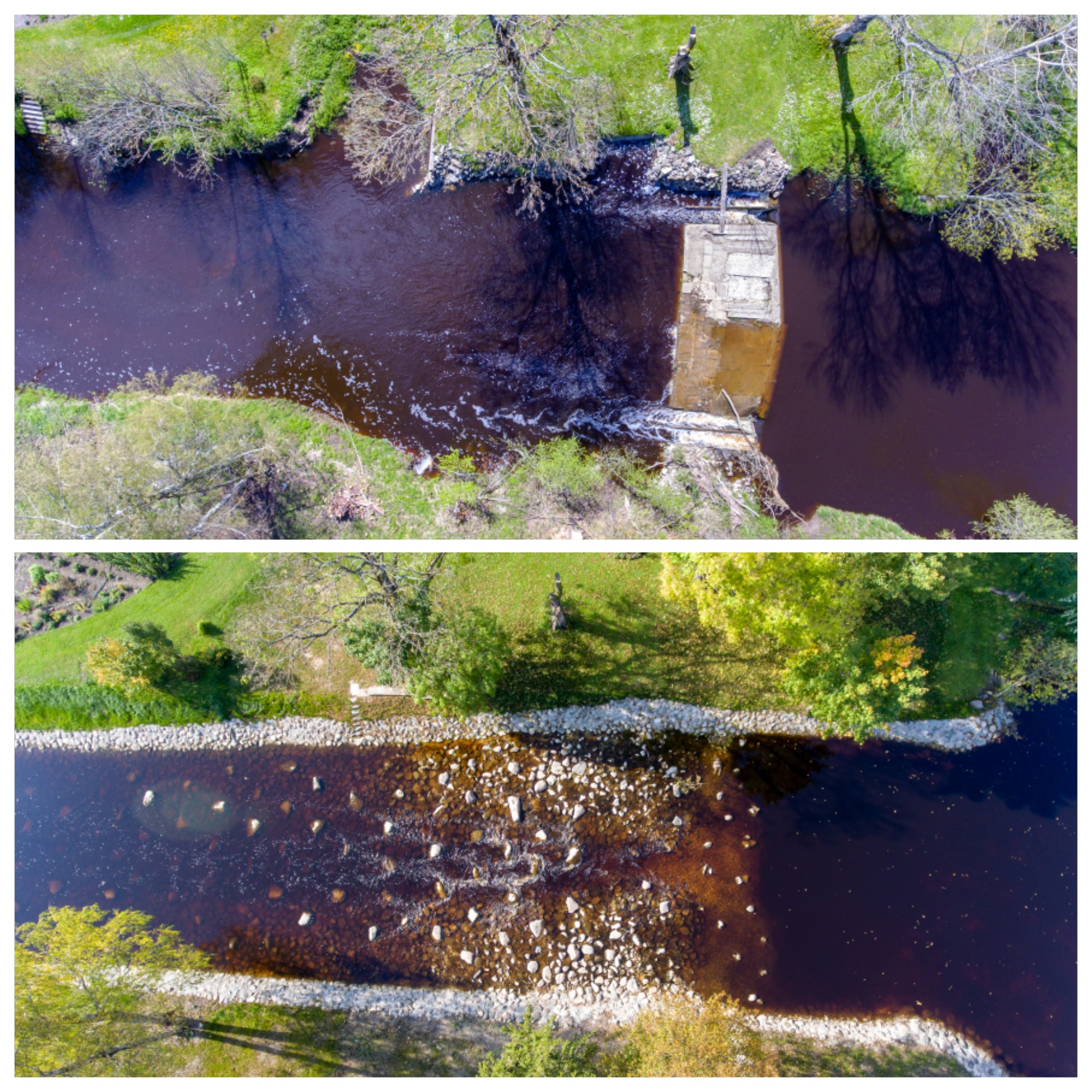 Improving the Pärnu river basin for its migratory fish - Photo 4