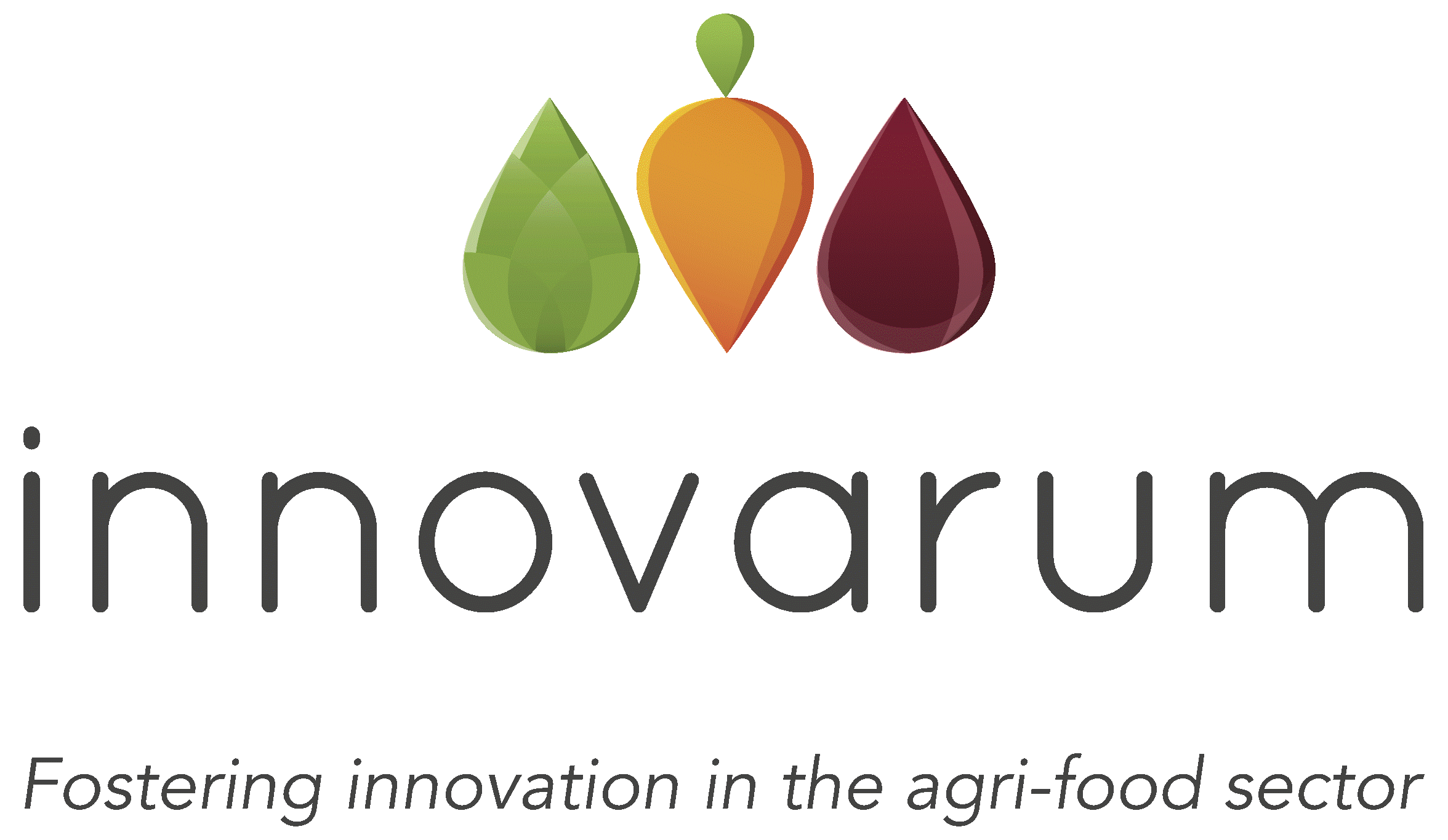 Logo.Innovarum (EURIZON SL).gif