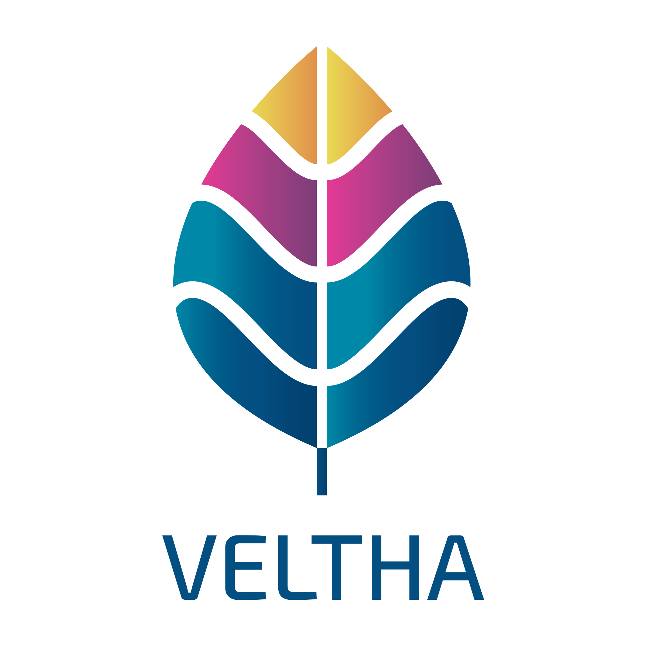 Logo.Veltha IVZW.png