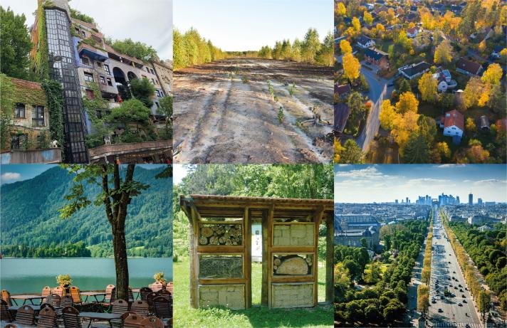 a collage of six photos showing a range of nature based solutions