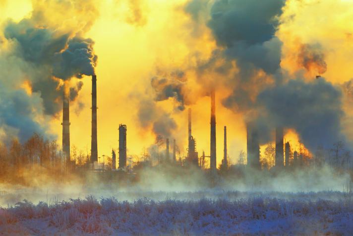 What are the health costs of environmental pollution?