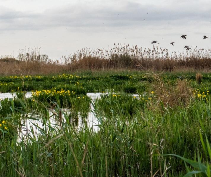 Landscape of Valencia, European Green Capital 2024