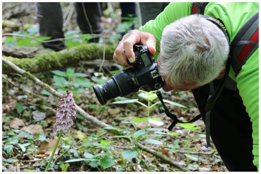 Artetica activities in the forest: a man taking a picture of the flower