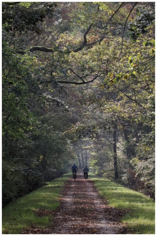 Artetica activities: picture of two people in a trail of a forest