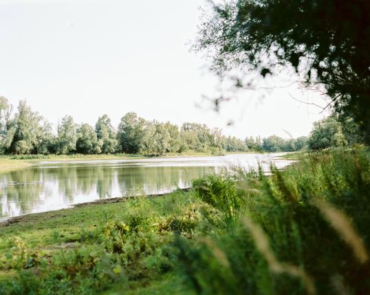 Millingerwaard river