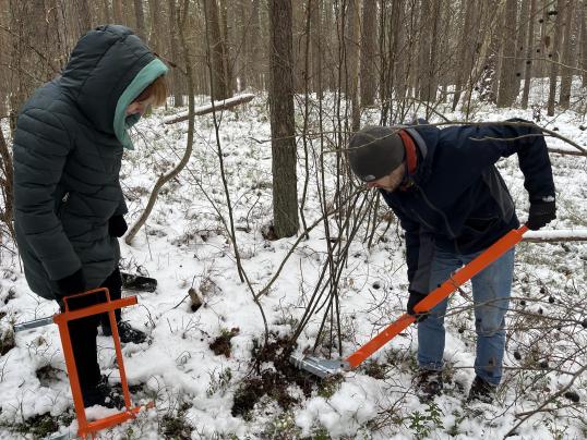 Voluntary work: innovations winter: two volunteers working in a forest with snow
