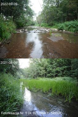Changes in Salantas river habitats after dam removal