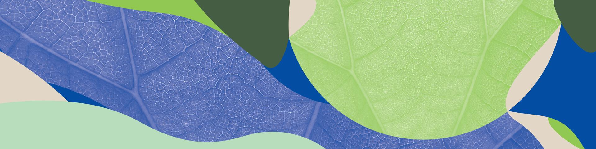 Abstract cover image in pale green, olive green, blue and cream tones.