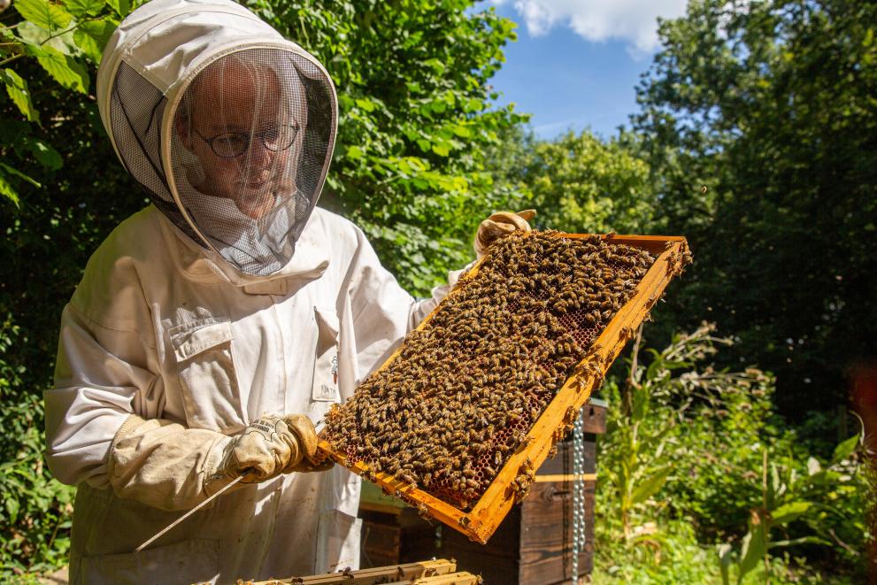 beekeeper in costume