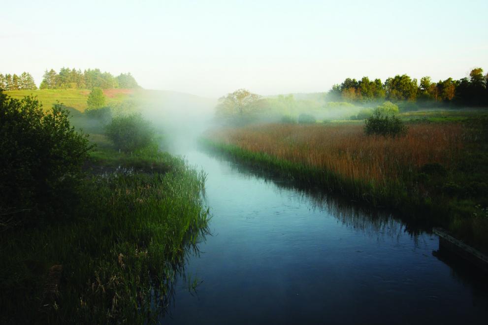 Denmark river restoration