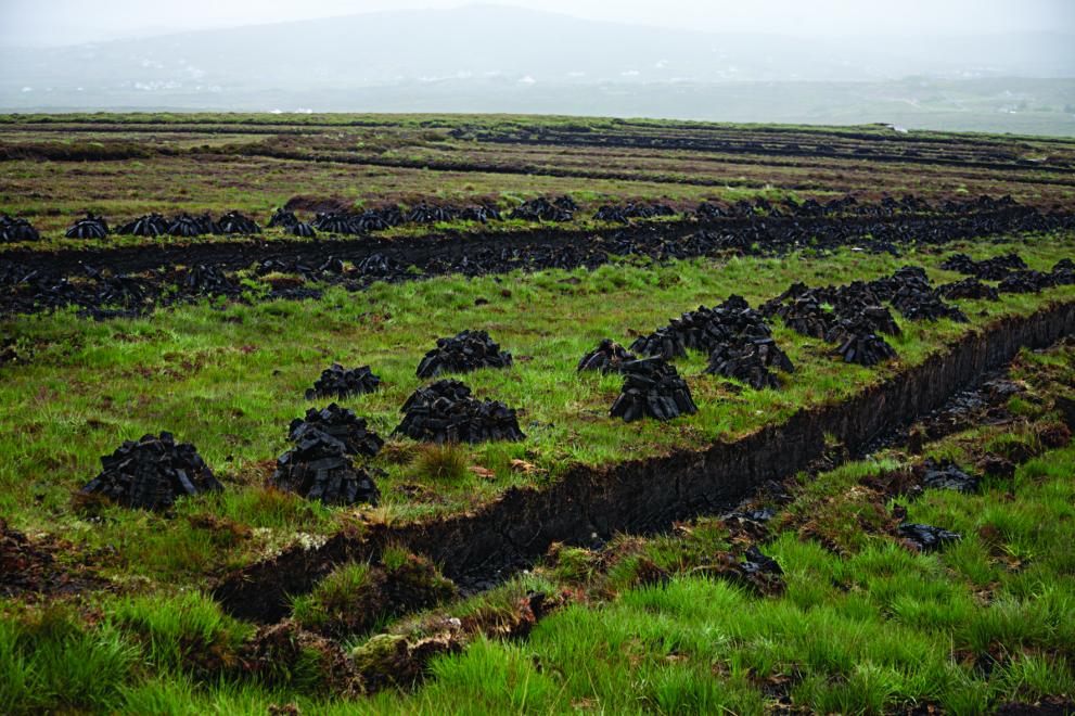 Restored peatlands in Ireland