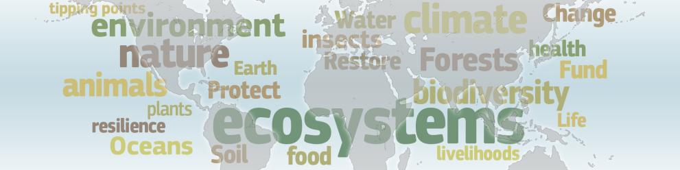 Biodiversity - COP15