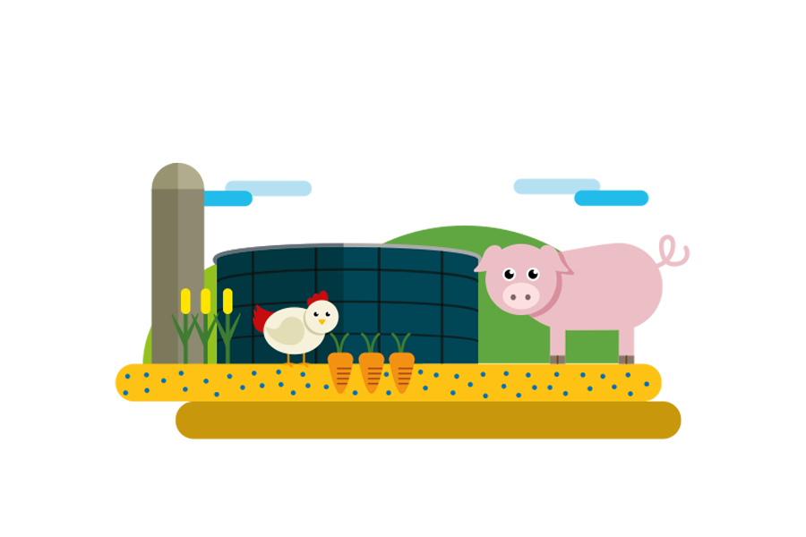 Drawing of chicken, pig, carrots, flowers and buildings in the distance.