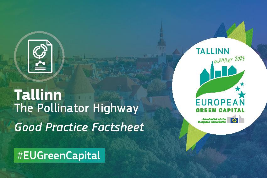 Tallinn - The Pollinator Highway 