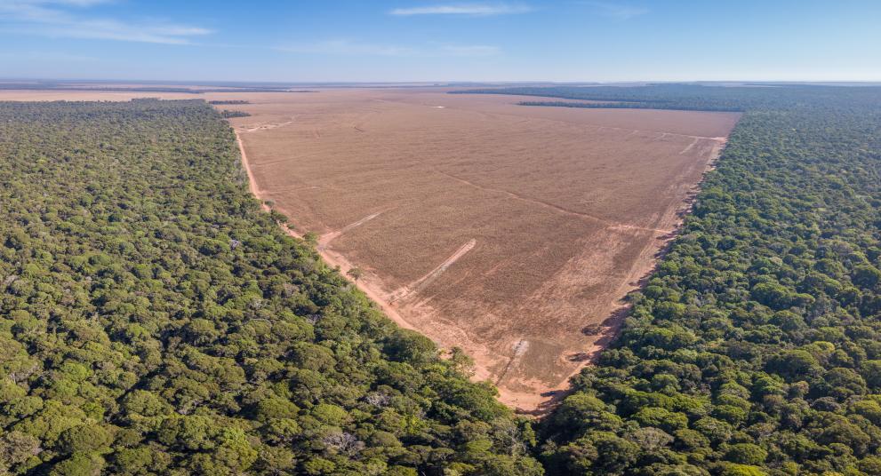 Aerial view of tropical forest and a deforested area