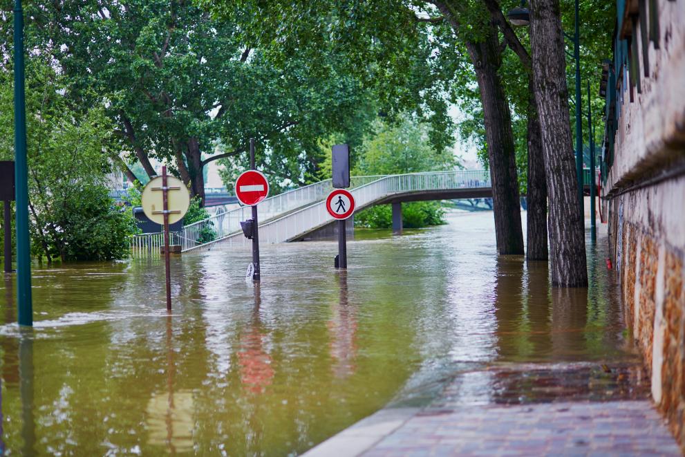 Drivers of fluvia flood risk change for residential buildings in Europe
