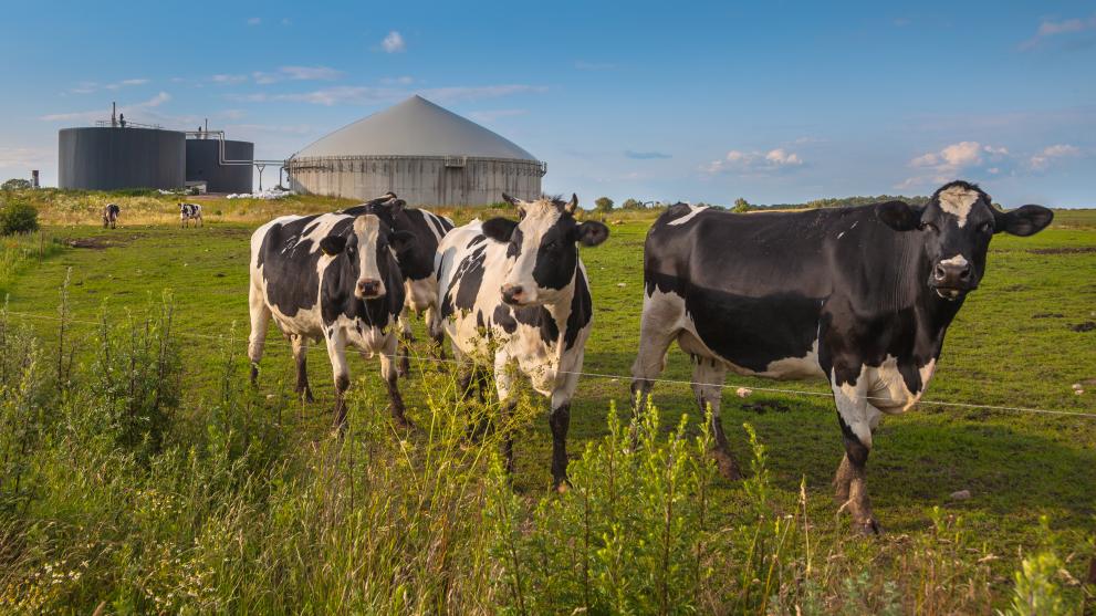 New research supports the need for streamlining best practice in anaerobic digestion