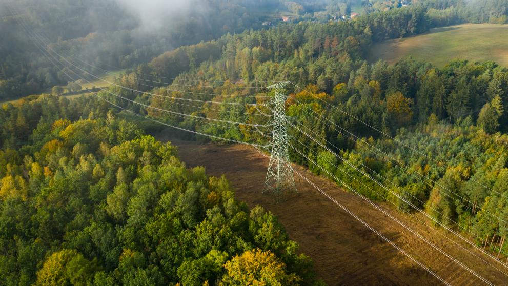 Power pylons offer pockets of habitat for mammals in intensively farmed landscapes