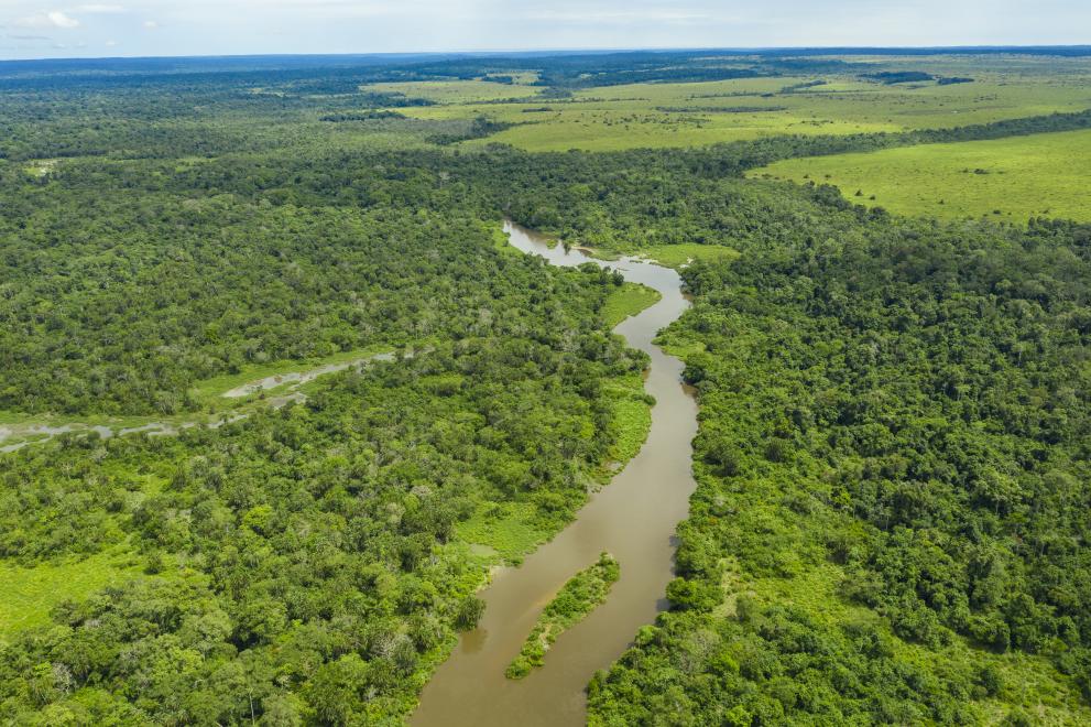 Aerial view of Congo river and forest area