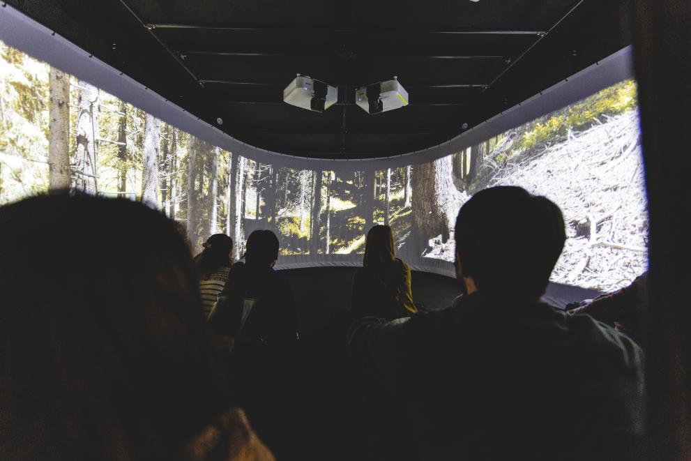 Five visitors of the Muse Museum in Italy facing a screen of the immersive exhibition "through the Eyes of a wolf". 