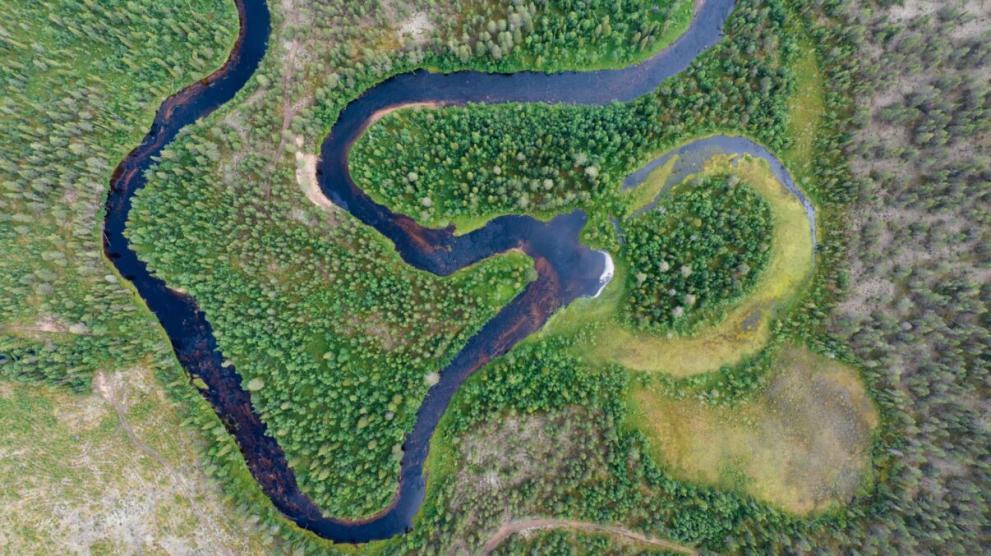 The rewilding of rivers helps to increase lateral connectivity between the river and surrounding forest, enabling water to remain in the landscape for longer.