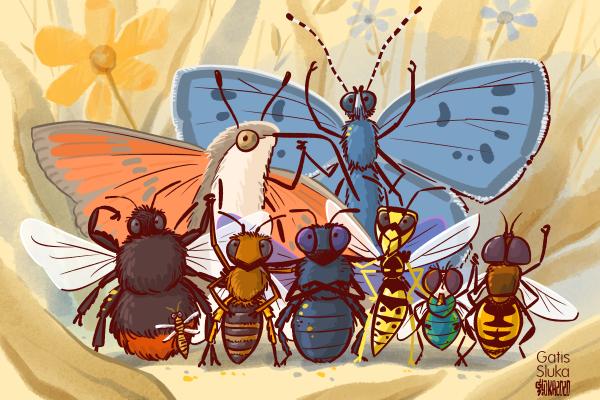 Pollinators cartoon