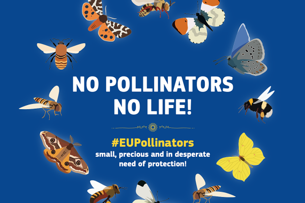 EU poster: various pollinators around the EU "No Pollinators No Life" motto.