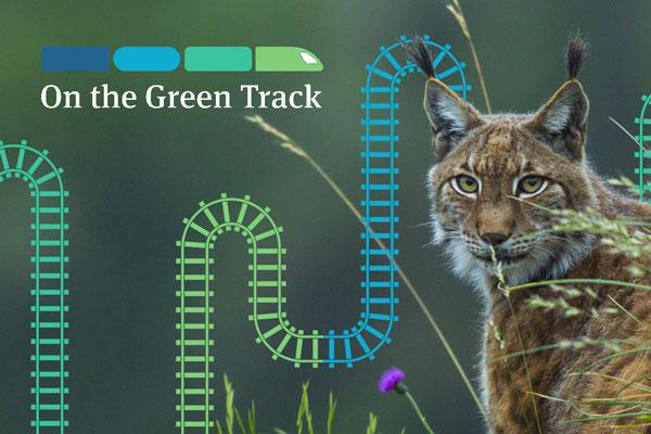 Lynx on green background with railway motif.