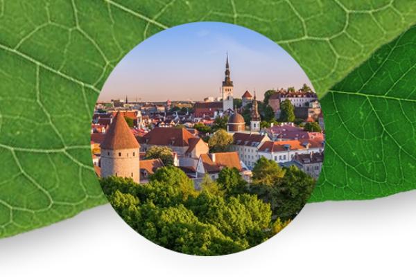 city of Tallinn in a green cyrcle