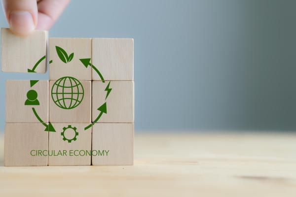 Understanding of the broader context is important for small and medium-sized enterprises transitioning to circular economy