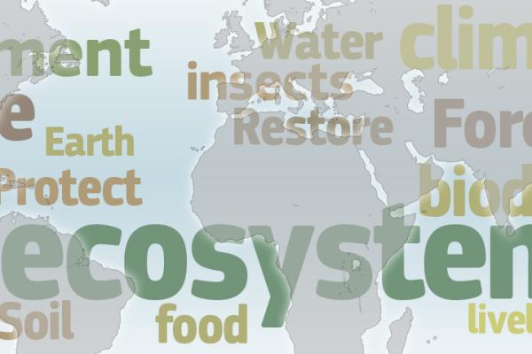 Biodiversity - COP15
