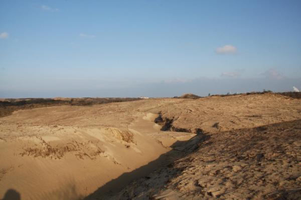 Dune landscape.