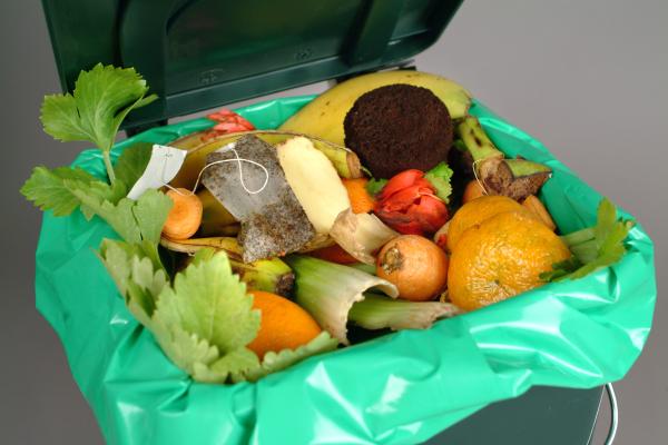 Potential of big data analytics in food-waste reduction businesses