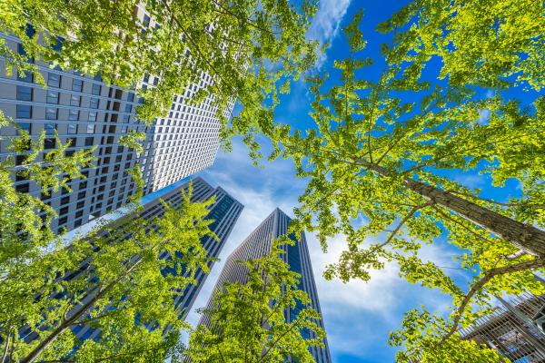 Half of urban trees are outside their ‘comfort zone’ – future plantings must consider climate resilience