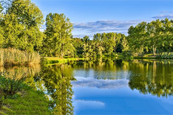 Decreasing levels of oxygen in deep lake water linked to longer warm seasons