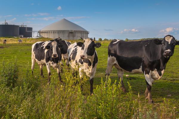 New research supports the need for streamlining best practice in anaerobic digestion