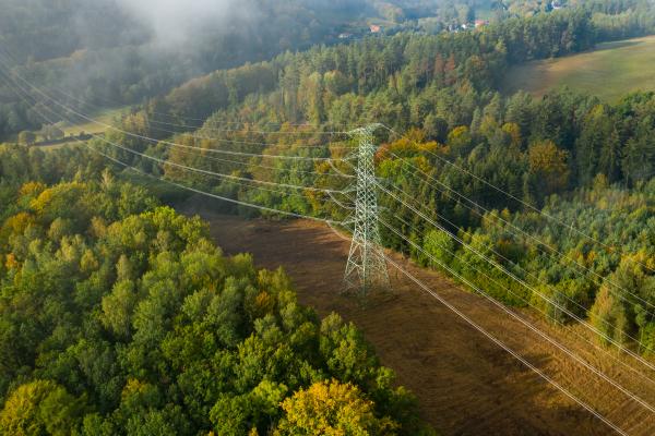 Power pylons offer pockets of habitat for mammals in intensively farmed landscapes