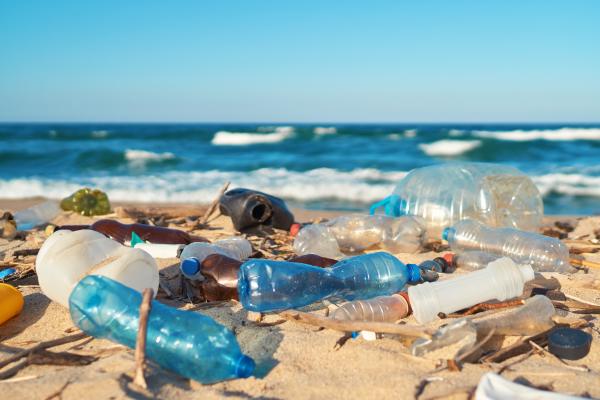 Plastic litter on shore.