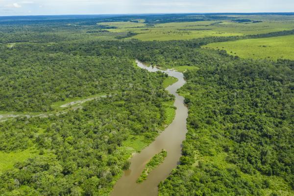 Aerial view of Congo river and forest area