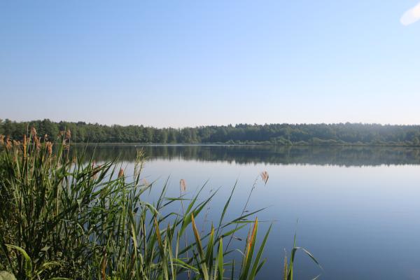 lake picture